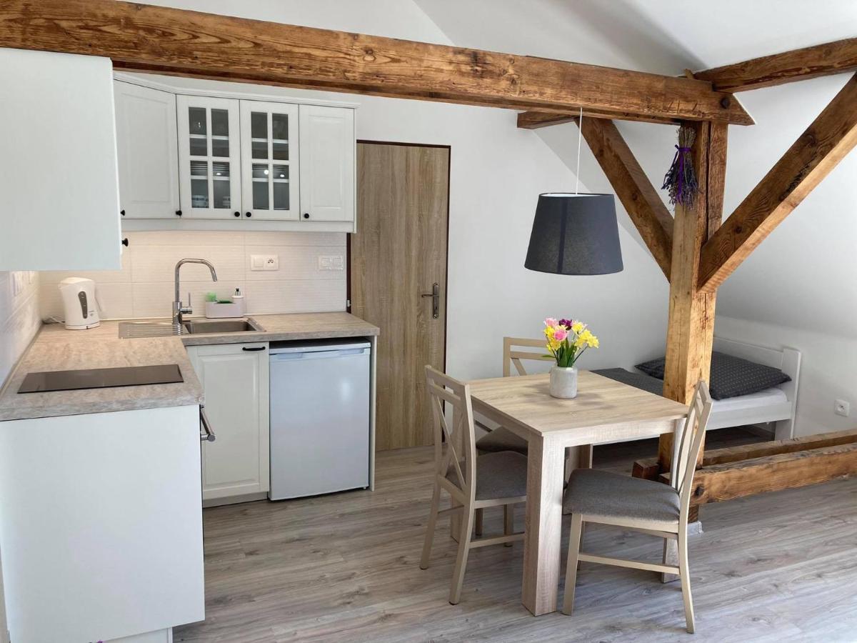 Apartmany Pod Radhostem Roznov pod Radhostem Ngoại thất bức ảnh